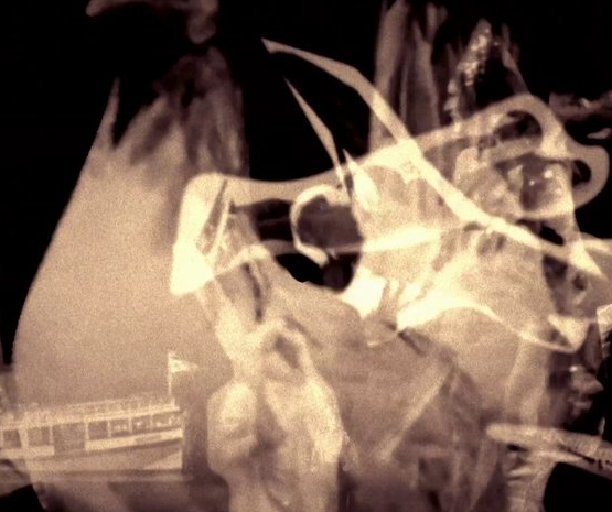 219 Collaborative Project